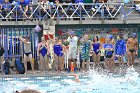 Swimming & Diving vs Babson  Swimming & Diving vs Babson College. - Photo by Keith Nordstrom : Wheaton, Swimming